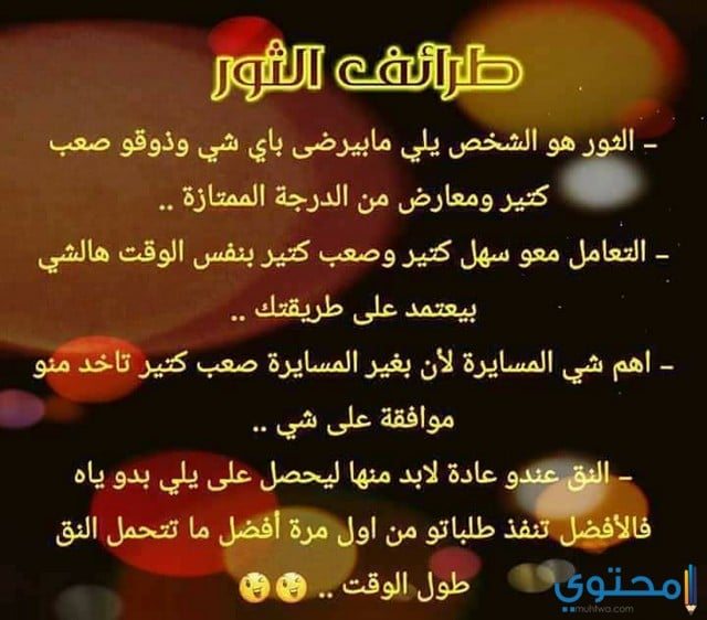 توقعات-مايك-فغالي4.jpg