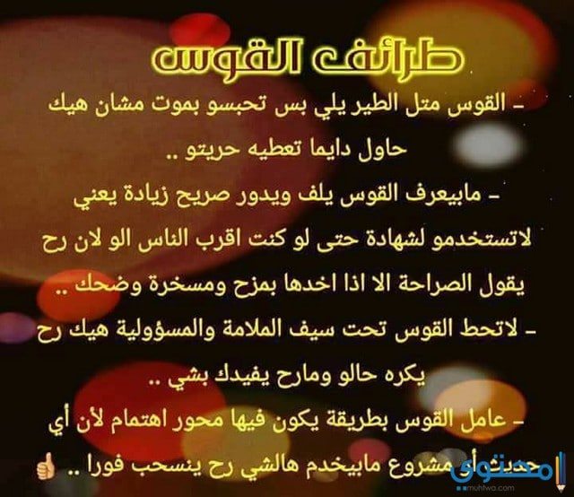توقعات-مايك-فغالي8.jpg