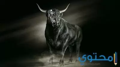 توافق برج الثور