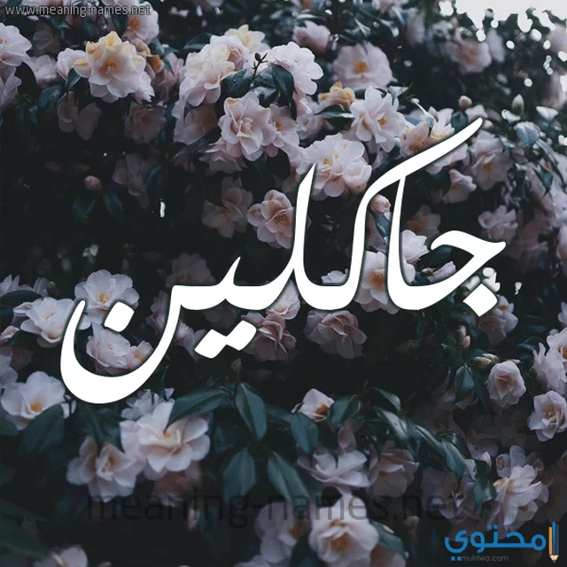 جاكلين