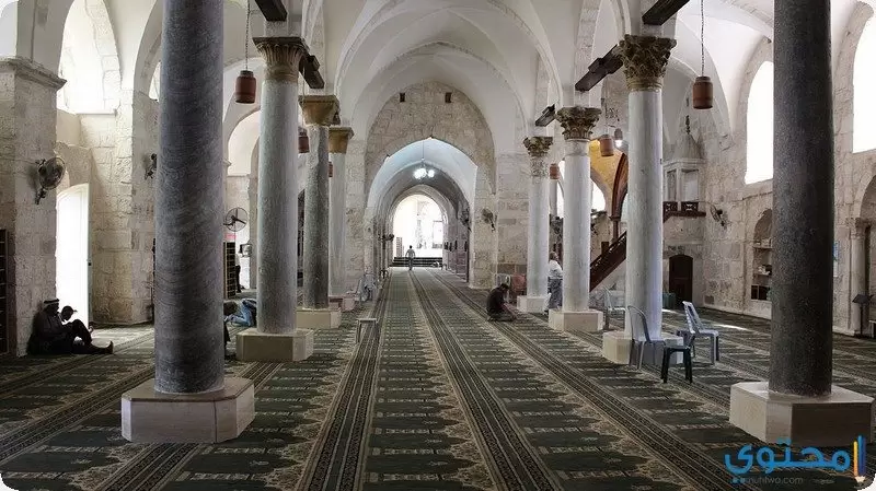 Dende dentro da mesquita 