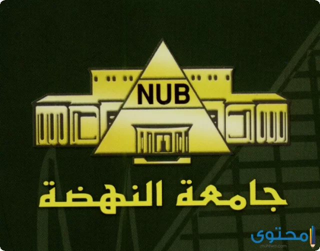 مصاريف جامعة النهضة 2024 NuB