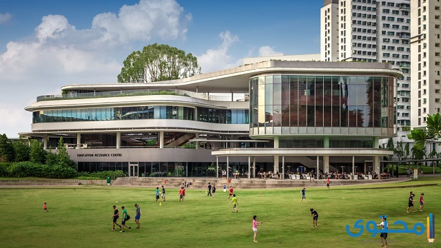 جامعة سنغافورة الوطنية