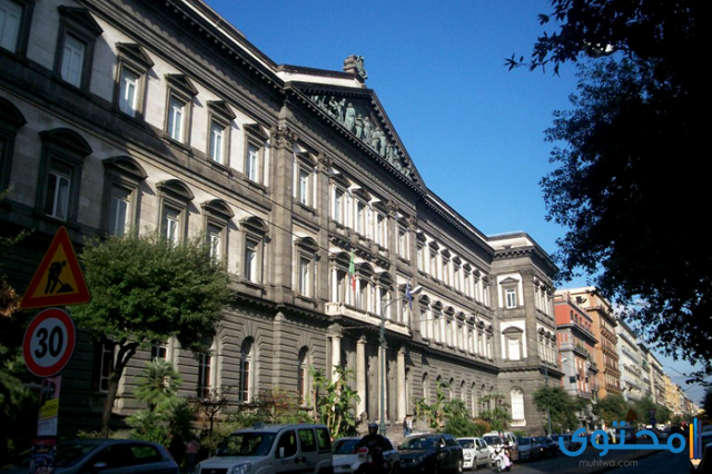 جامعة نابولي فيدريكو الثاني