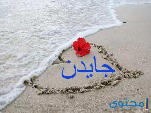 معنى اسم جايدن