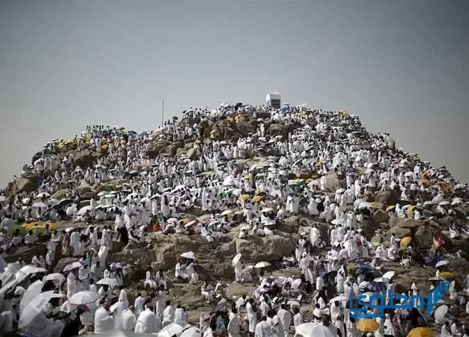 جدول يوم عرفة كامل للعبادات جاهز للتحميل