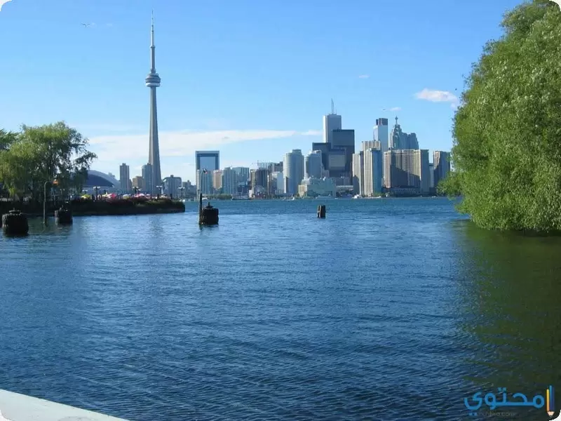 السياحة في تورنتو في كندا بالصور 2024