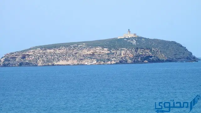 جزيرة سيدي سعدون
