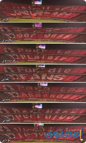 جماهير-الاهلي5.jpg