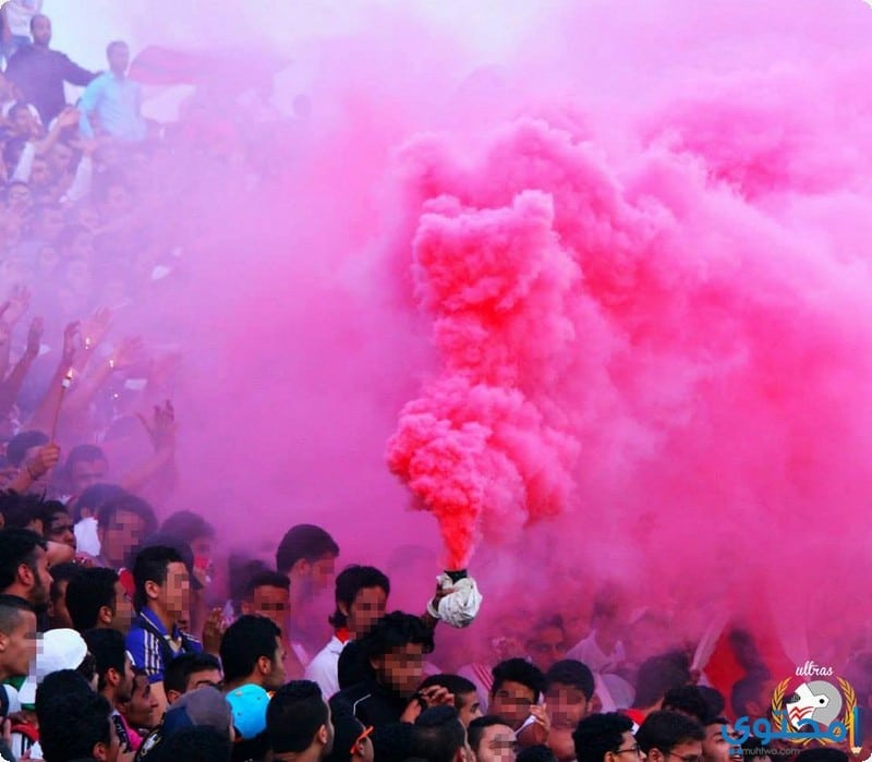 جماهير-الزمالك-02.jpg