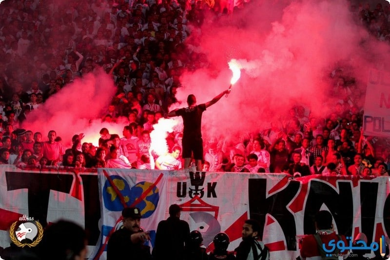 جماهير-الزمالك-14.jpg