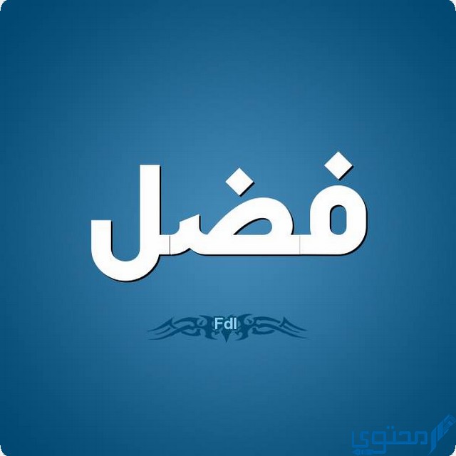 ما هو جمع كلمة فضل 1 جمع كلمة فضل
