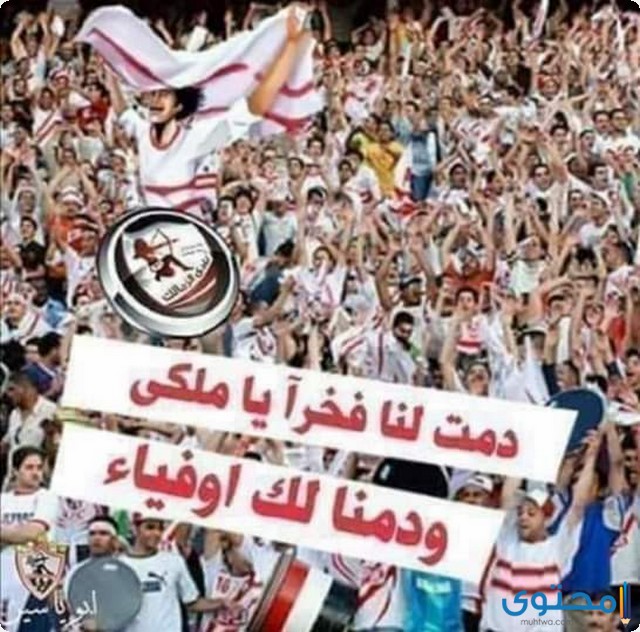 جمهور-الزمالك5.jpg