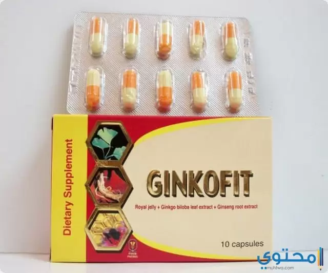 جنكوفيت Ginkofit مكمل غذائي لتحسين الدورة الدموية