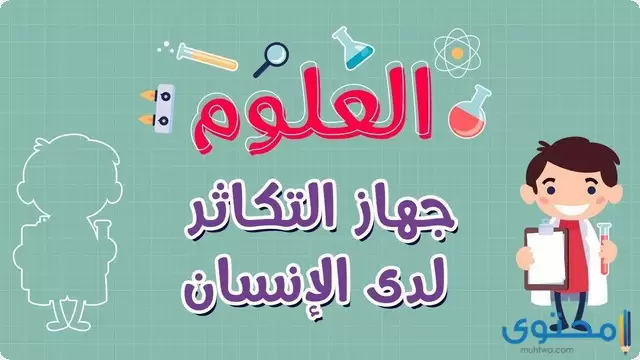 جهاز التكاثر في الإنسان