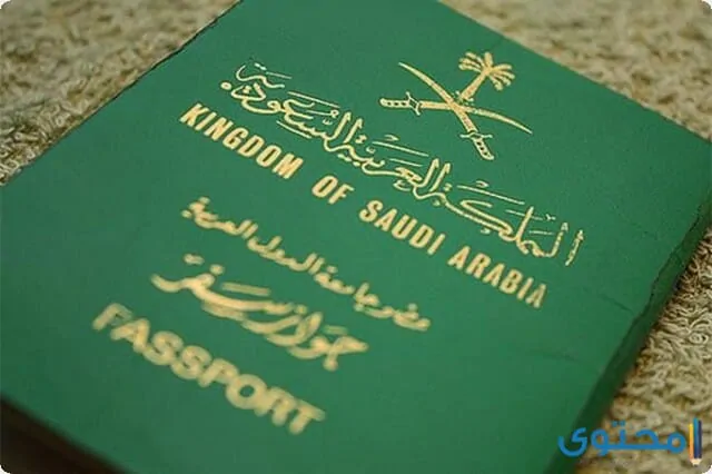 اصدار جواز سفر للأطفال