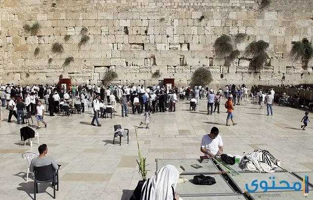 حائط المبكى في القدس – الموقع والتاريخ والحقائق