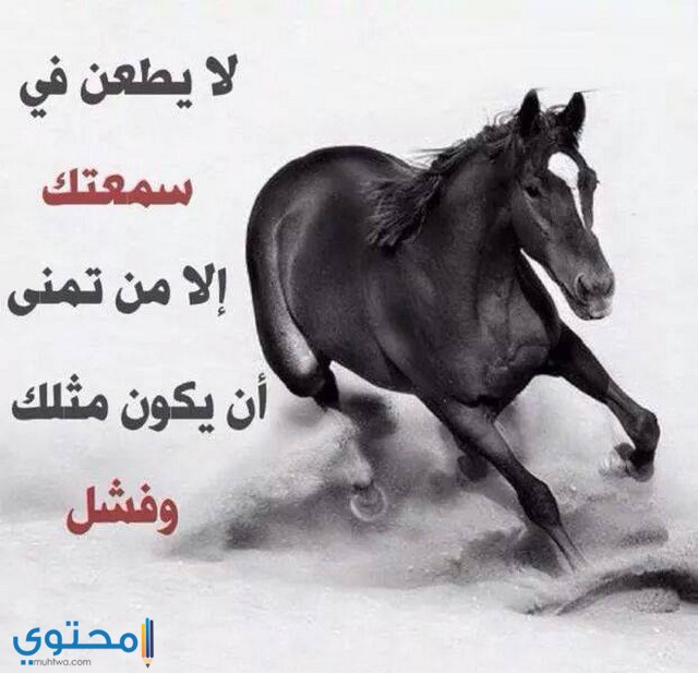 حالات واتس اب كتابة عن الحياة بها حكم واقوال معبرة 1 حالات واتس اب كتابة