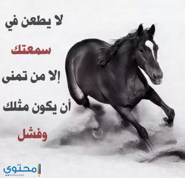 حالات واتس اب كتابة عن الحياة بها حكم واقوال معبرة