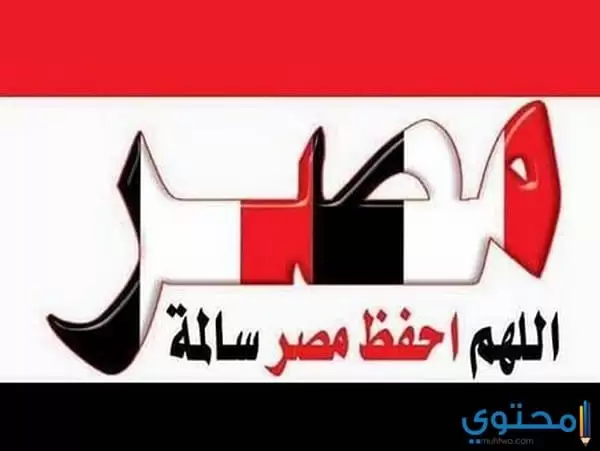 قصيدة عن مصر جديدة