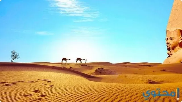 مصر بلد الحضارة