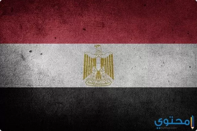 حب مصر
