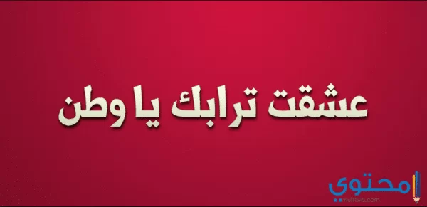 حب مصر