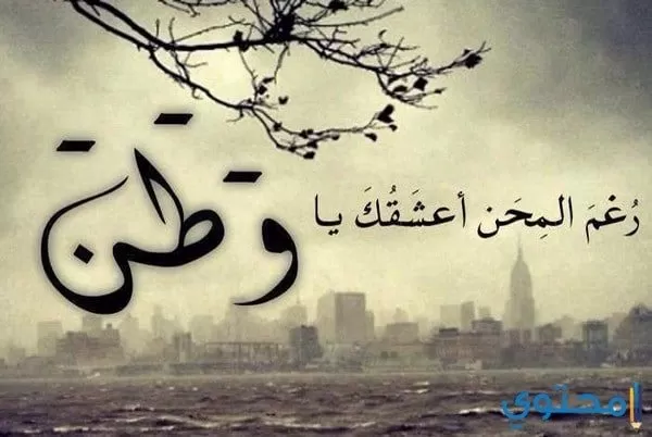 حب مصر