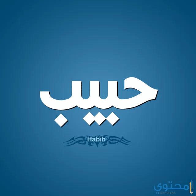 معنى اسم حبيب