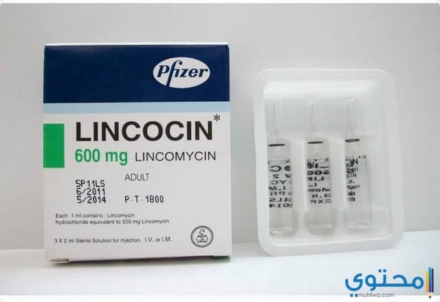 لينكوسين مضاد حيوي لعلاج الالتهابات البكتيرية Lincocin