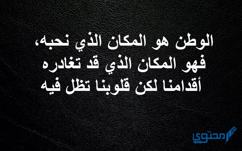 حديث عن الوطن