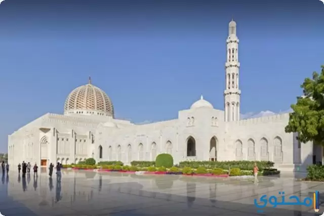 حلم المسجد وتفسير الصلاة في المساجد
