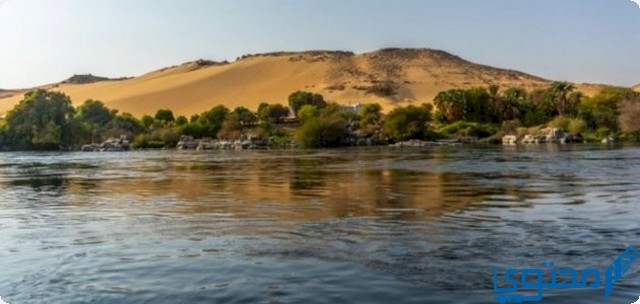 حماية النيل من التلوث