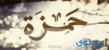 معنى اسم حمزة