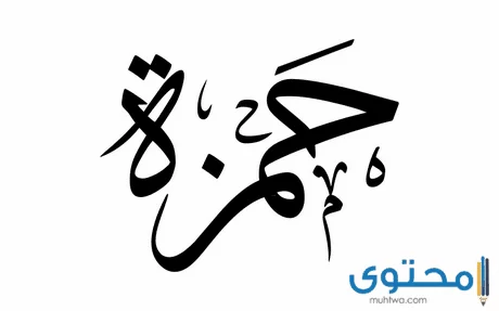 معنى اسم حمزة