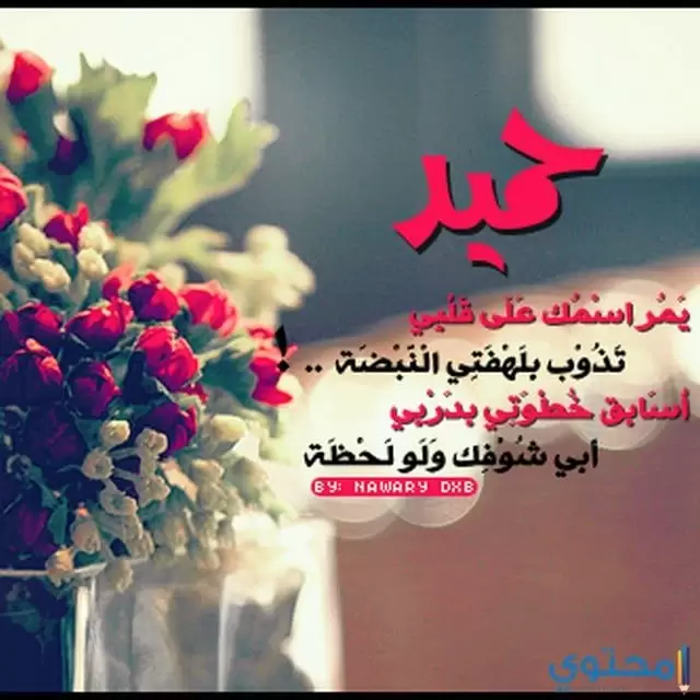 حميد