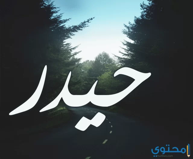 معنى اسم حيدر