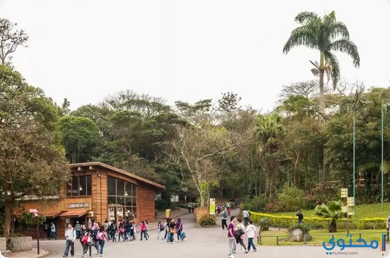 حديقة حيوان ساو باولو 