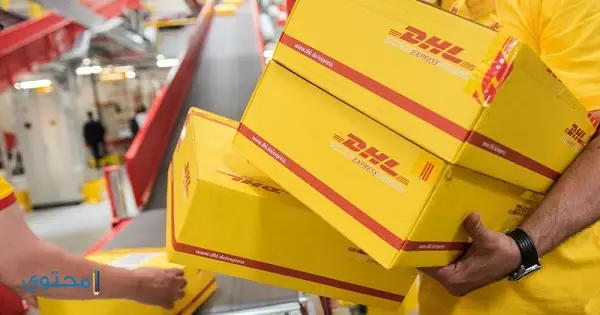 خدمة عملاء DHL مصر