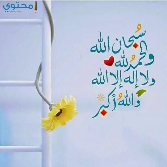 اجمل خلفيات اسلاميه جديده