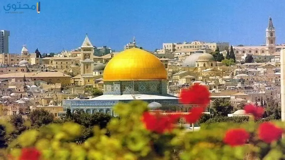 صور وخلفيات القدس 