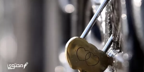 خلفيات حلوة رائعة 2024