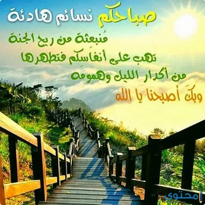 صباحية للإهداء04