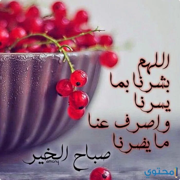 صباحية للإهداء08