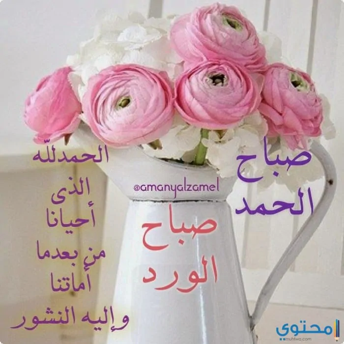 صباحية للإهداء19