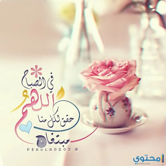صباحية للإهداء24