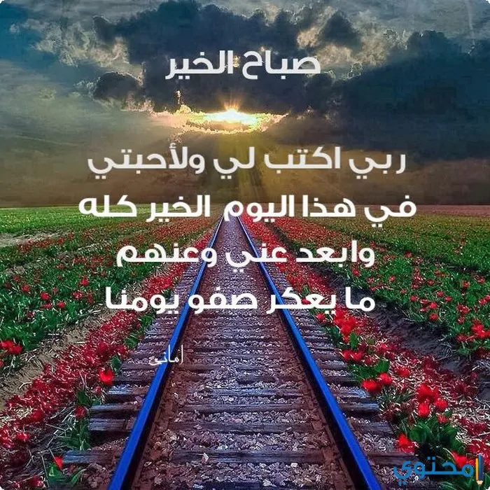 صباحية للإهداء33