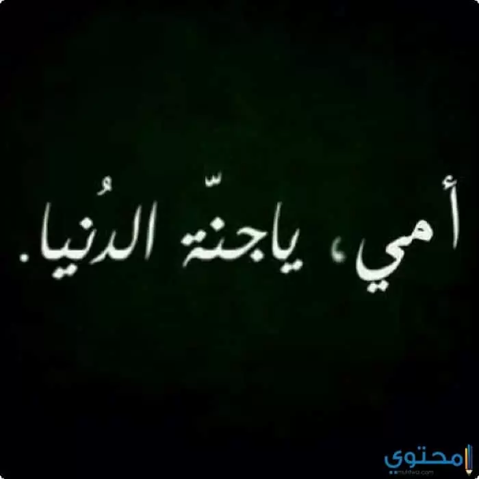 عن الأم02