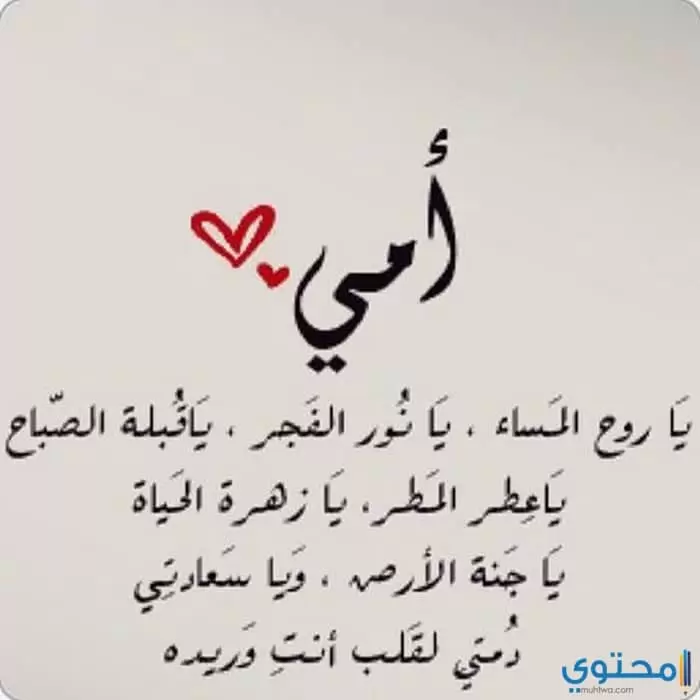 عن الأم03