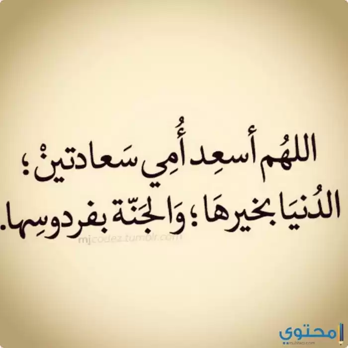 عن الأم06